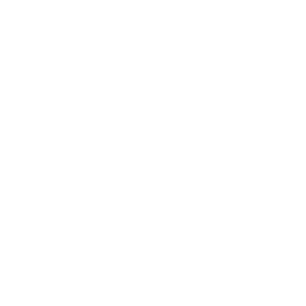 logoboehringer.png
