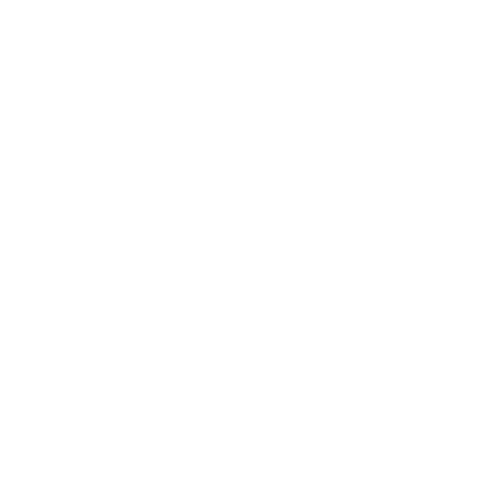 logomichelin.png