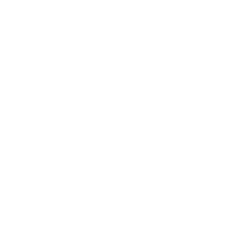 logoschneider.png